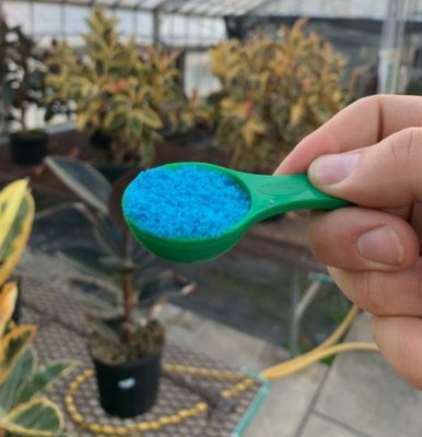 Hand holding scoop of fertilizer in greenhouse