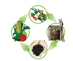 Composting cycle graphic