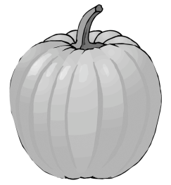 Drawing of pumpkin