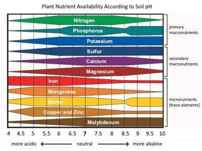 Influence of soil pH on Availability of Plant Nutrients